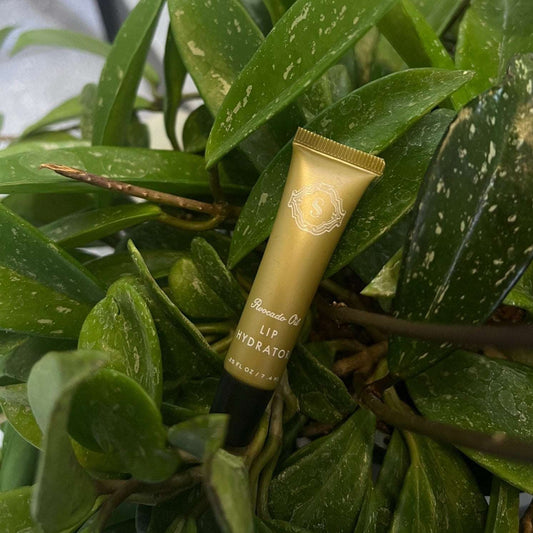 Avocado Oil Lip Hydrator - True Indigo Spa + Wellness